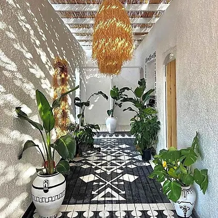 Hotel Volley